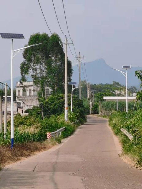 太阳能路灯案例