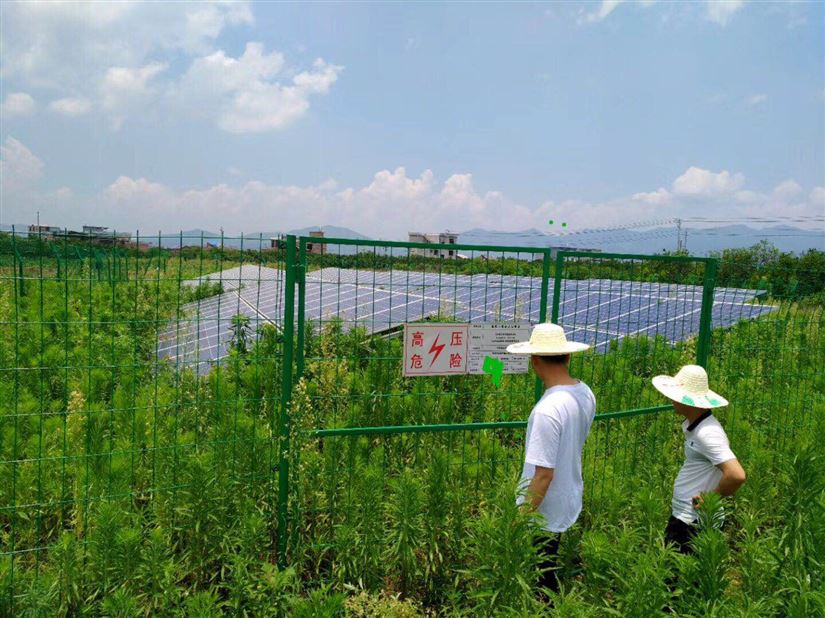 集中式光伏电站案例